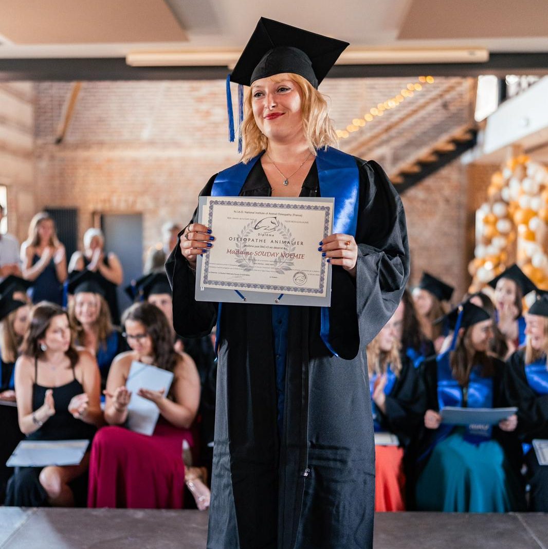 Noemie Souday - Diplome